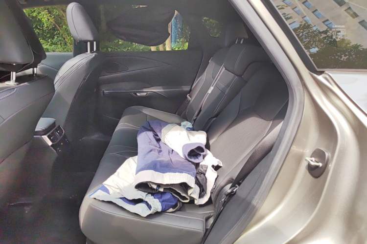 Used Lexus RX 2023 350h Two-Wheel Drive Comfort Edition Left Rear Seat