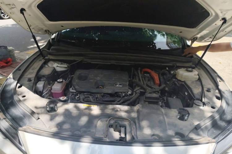 Used Lexus RX 2023 350h Four-Wheel Drive Enjoyment Version Engine Bay