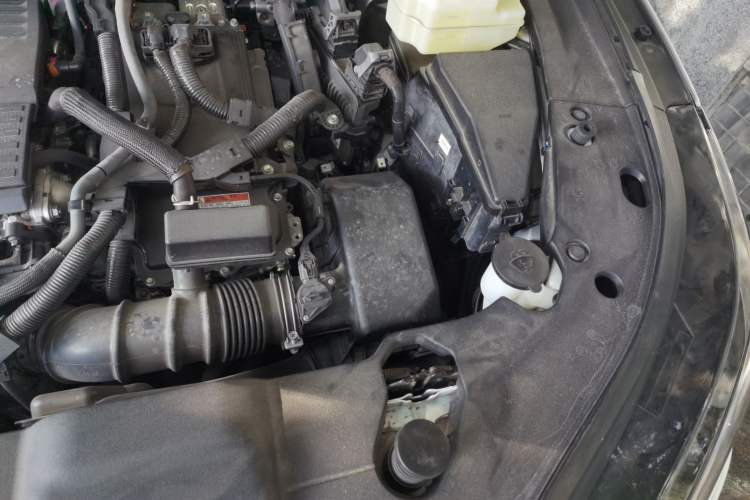 Used Lexus RX 2023 350h Two-Wheel Drive Comfort Edition Engine Bay Left