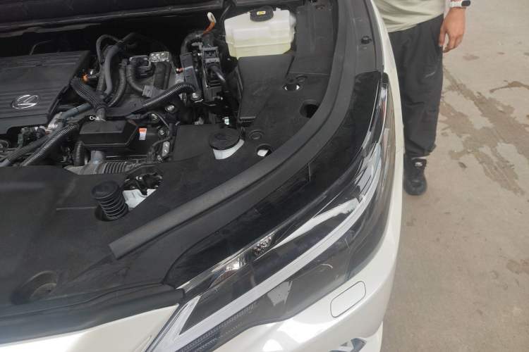 Used Lexus RX 2023 350h Two-Wheel Drive Comfort Edition Engine Bay Left