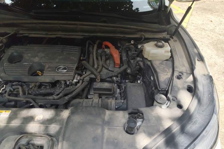 Used Lexus RX 2023 350h Four-Wheel Drive Enjoyment Version Engine Bay Left