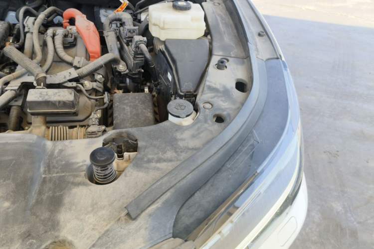 Used Lexus RX 2023 350h Four-Wheel Drive Enjoyment Version Engine Bay Left