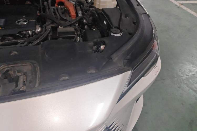 Used Lexus RX 2023 350h Four-Wheel Drive Enjoyment Version Engine Bay Left