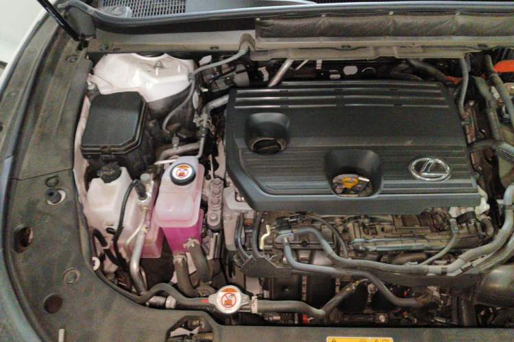 Used Lexus RX 2023 350h Four-Wheel Drive Enjoyment Version Engine Bay Right