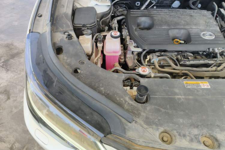 Used Lexus RX 2023 350h Four-Wheel Drive Enjoyment Version Engine Bay Right