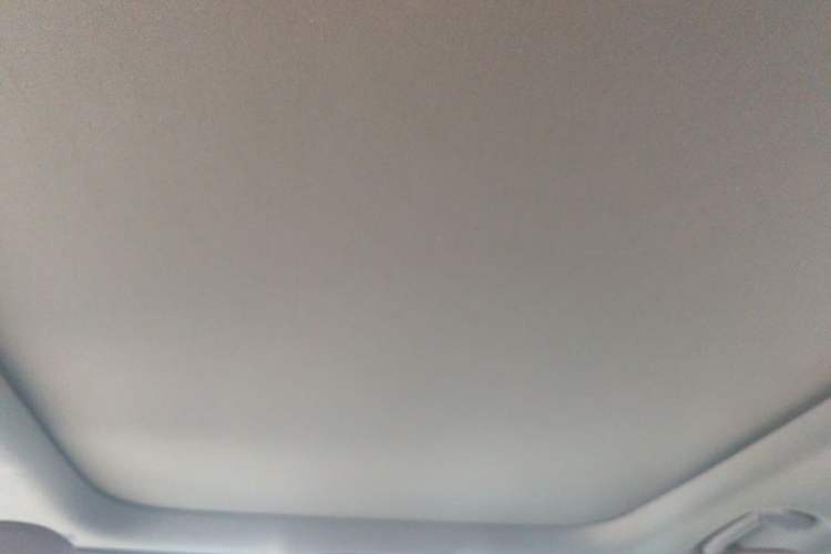 Used Lexus RX 2023 350h Four-Wheel Drive Enjoyment Version Headliner