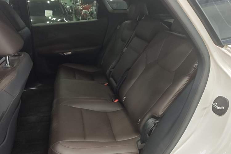 Used Lexus RX 2023 350h Four-Wheel Drive Enjoyment Version Left Rear Seat
