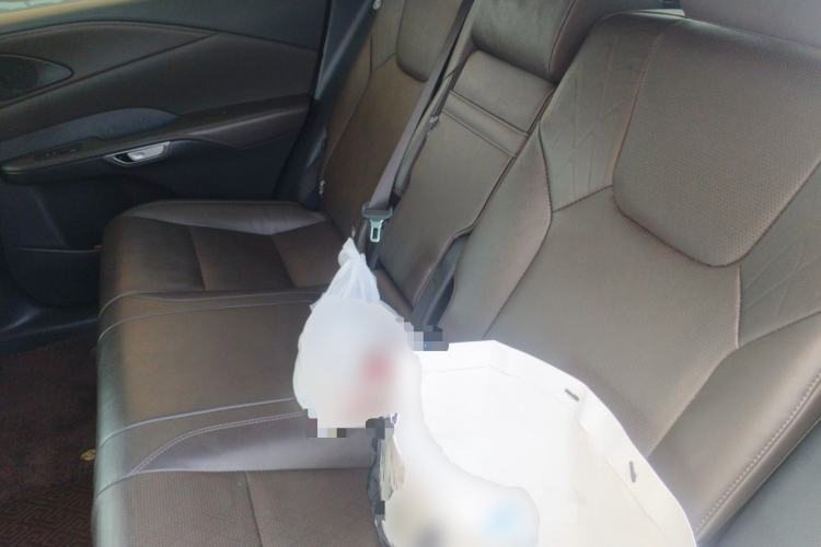 Used Lexus RX 2023 350h Four-Wheel Drive Enjoyment Version Left Rear Seat