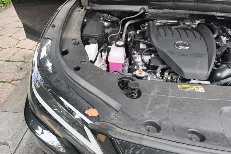 Used Lexus RX 2025 300 Four-Wheel Drive Junxiang Edition Engine Bay Right
