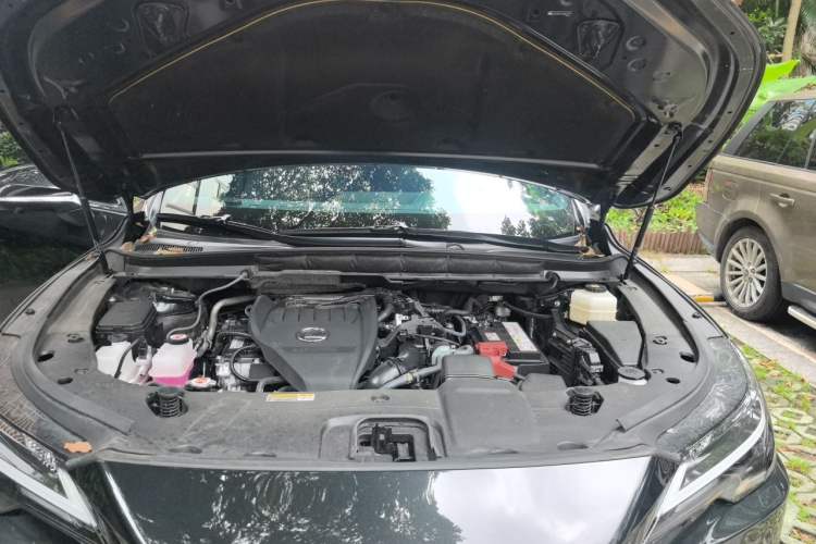 Used Lexus RX 2025 300 Four-Wheel Drive Junxiang Edition Engine Bay