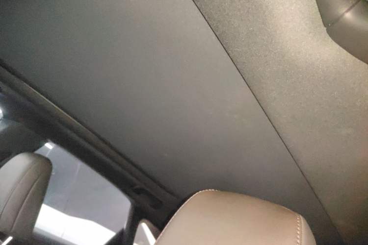 Used Lexus RX 2025 350h Two-Wheel Drive Comfort Edition Headliner