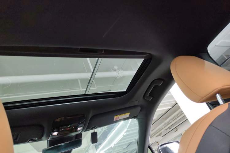 Used Lexus RX 2025 300 Four-Wheel Drive Junxiang Edition Headliner