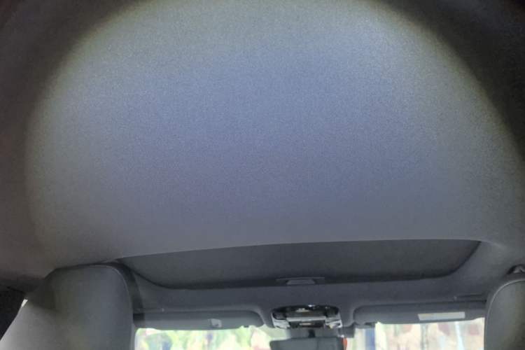 Used Lexus RX 2025 300 Four-Wheel Drive Junxiang Edition Headliner