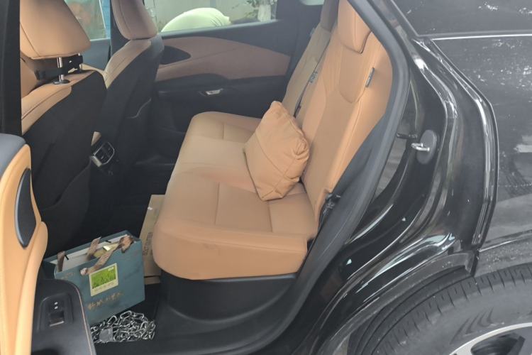 Used Lexus RX 2025 300 Four-Wheel Drive Junxiang Edition Left Rear Seat