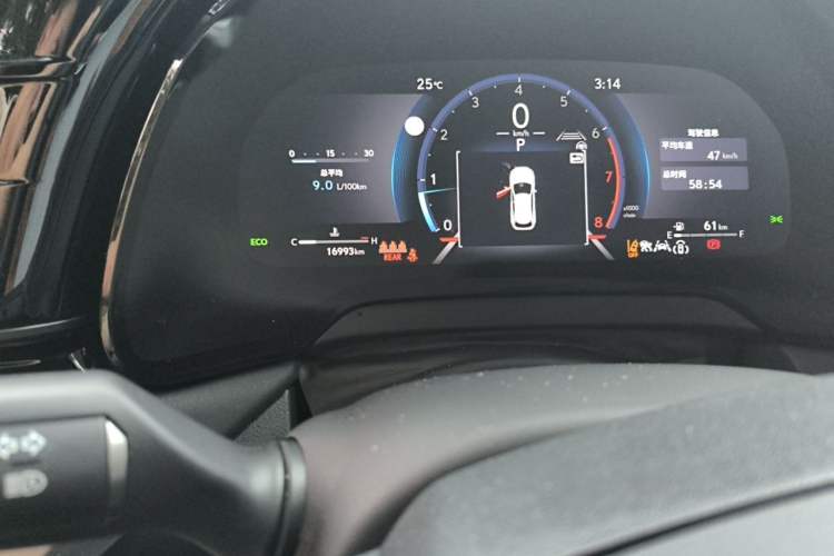 Used Lexus RX 2025 300 Four-Wheel Drive Junxiang Edition Odometer Close Up
