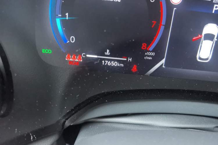 Used Lexus RX 2025 300 Four-Wheel Drive Junxiang Edition Odometer Close Up