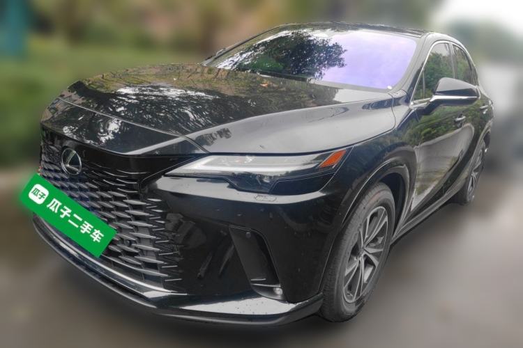 Lexus RX 2025 300 Four-Wheel Drive Junxiang Edition