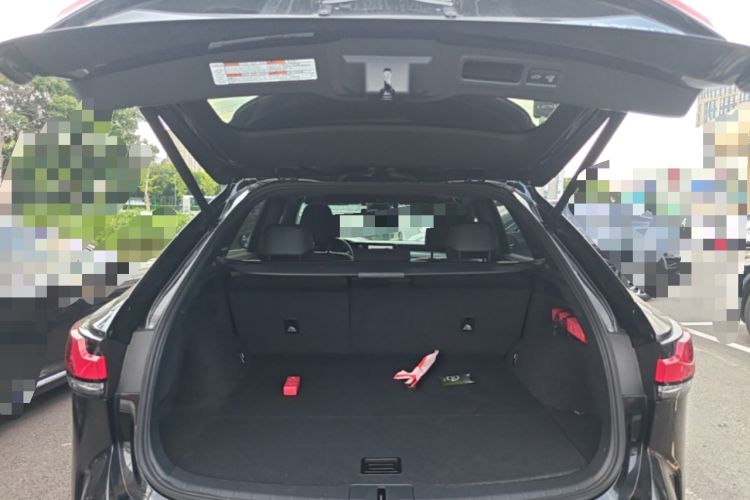 Used Lexus RX 2025 300 Four-Wheel Drive Junxiang Edition Trunk