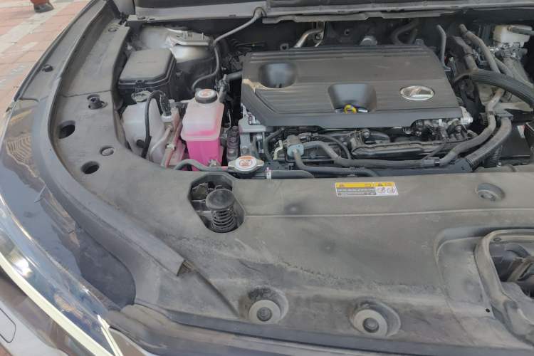 Used Lexus RX 2025 350h Two-Wheel Drive Enjoyment Version Engine Bay Right