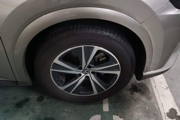 Used Lexus RX 2025 300 Four-Wheel Drive Junxiang Edition Exterior 1