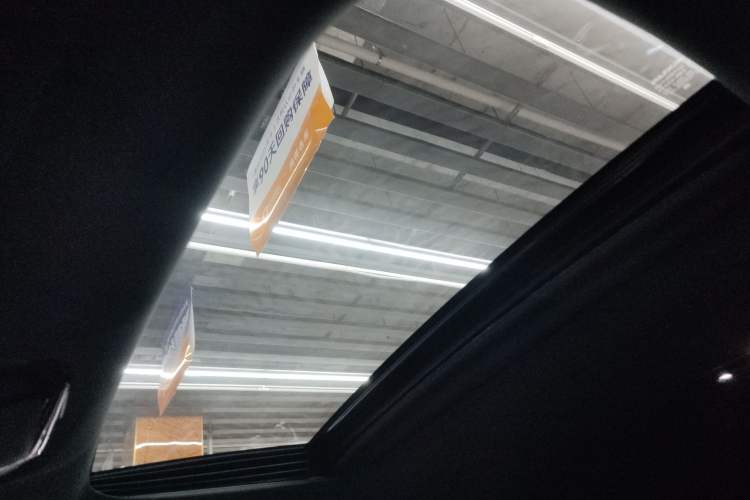 Used Lexus RX 2025 300 Four-Wheel Drive Junxiang Edition Headliner