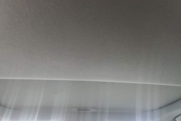 Used Lexus RX 2025 350h Two-Wheel Drive Enjoyment Version Headliner