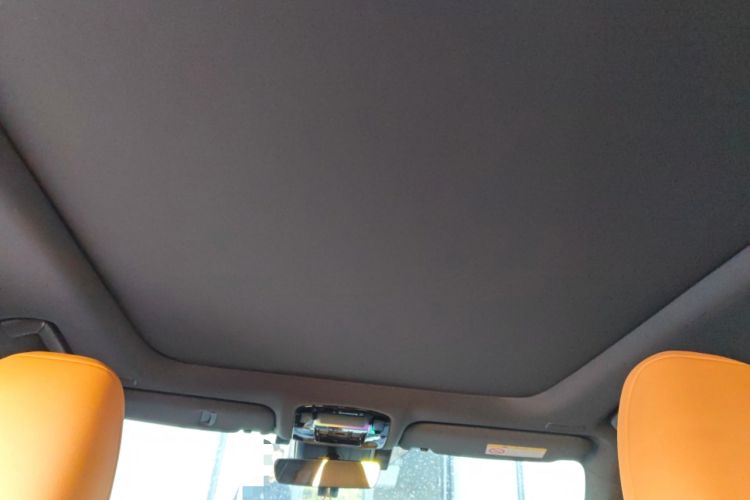 Used Lexus RX 2025 350h Four-Wheel Drive Enjoyment Version Headliner