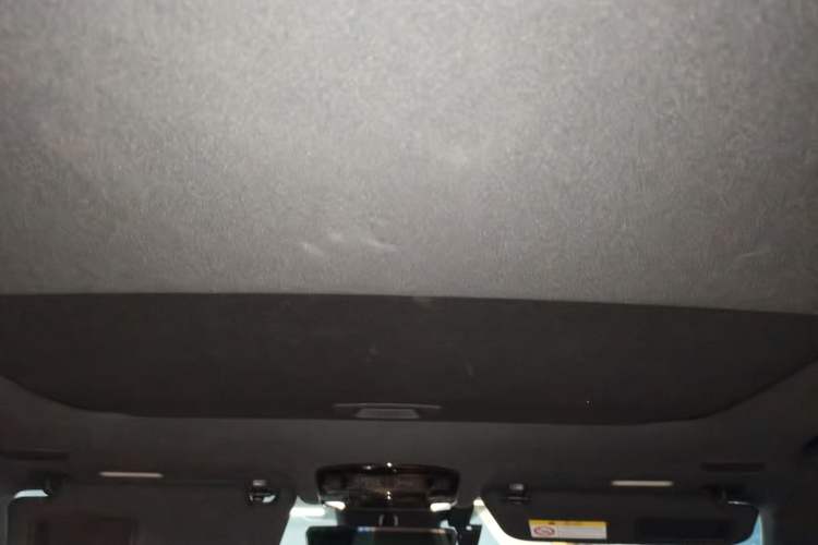 Used Lexus RX 2025 300 Four-Wheel Drive Junxiang Edition Headliner