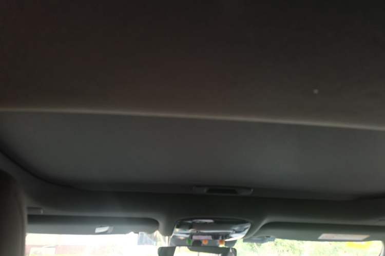 Used Lexus RX 2025 300 Four-Wheel Drive Junxiang Edition Headliner