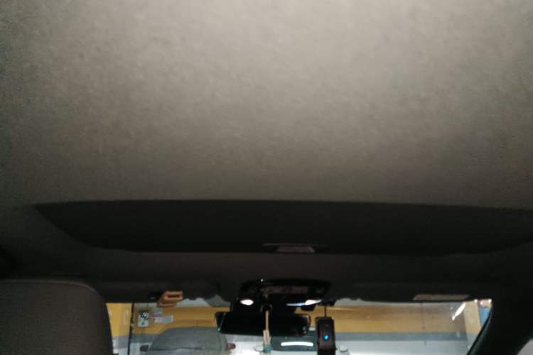 Used Lexus RX 2025 300 Four-Wheel Drive Junxiang Edition Headliner