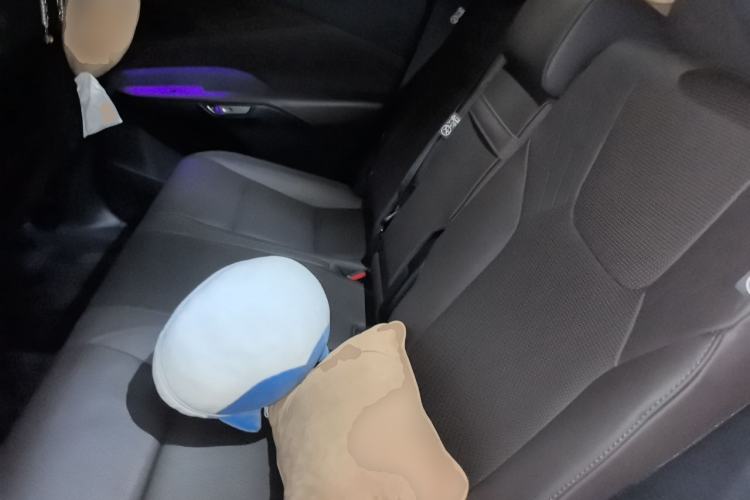 Used Lexus RX 2025 350h Two-Wheel Drive Comfort Edition Left Rear Seat