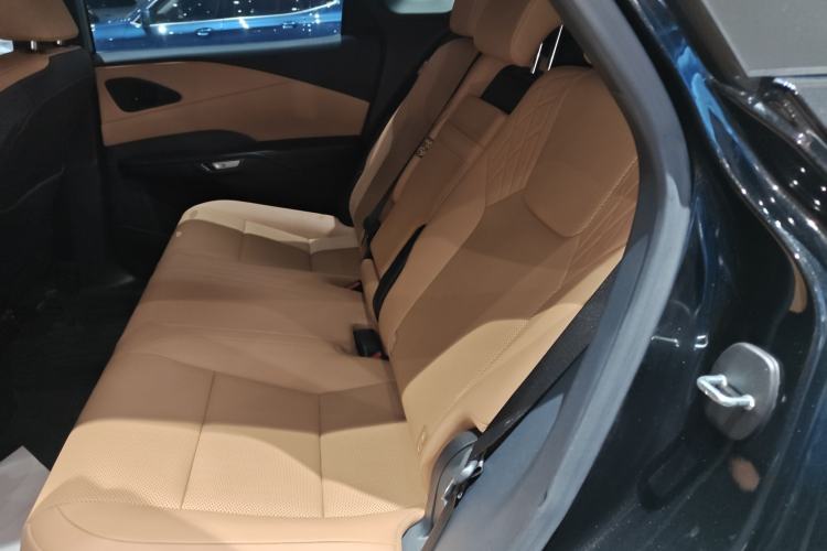 Used Lexus RX 2025 300 Four-Wheel Drive Junxiang Edition Left Rear Seat