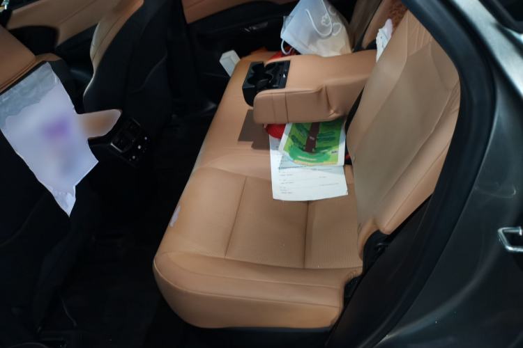 Used Lexus RX 2025 300 Four-Wheel Drive Junxiang Edition Left Rear Seat