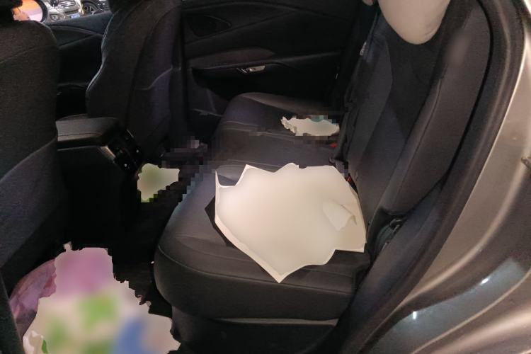 Used Lexus RX 2025 300 Four-Wheel Drive Junxiang Edition Left Rear Seat