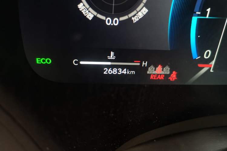 Used Lexus RX 2025 300 Four-Wheel Drive Junxiang Edition Odometer Close Up