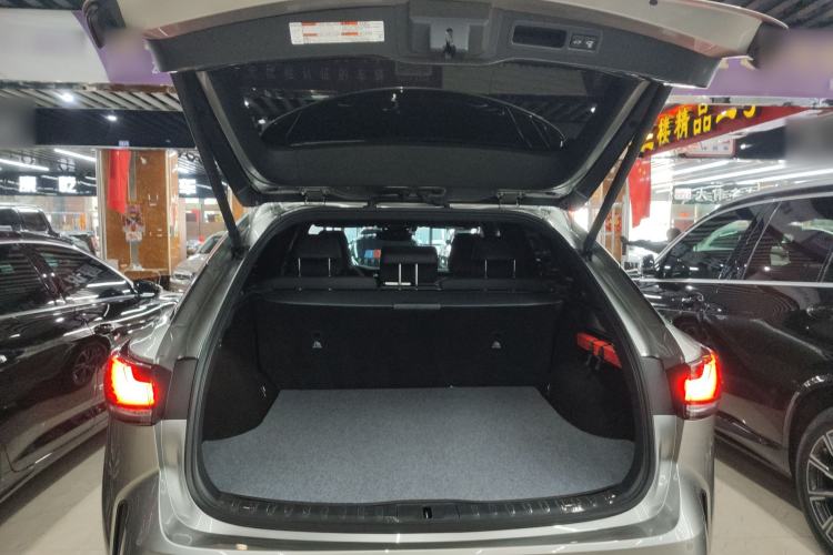 Used Lexus RX 2025 300 Four-Wheel Drive Junxiang Edition Trunk