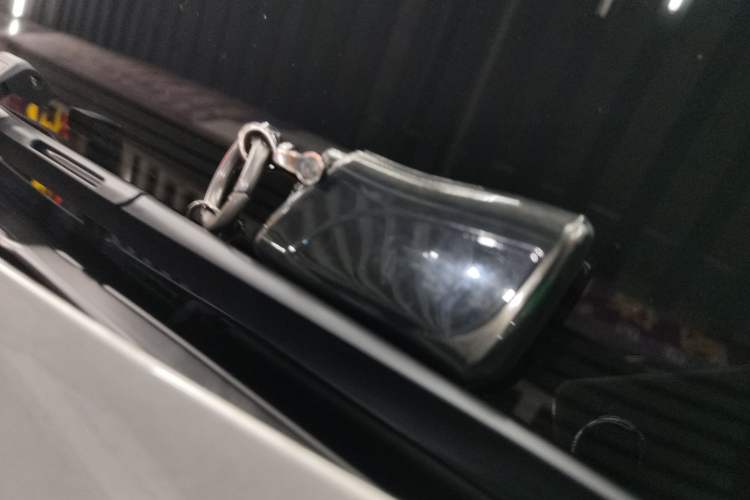 Used Lexus RX 2025 300 Four-Wheel Drive Junxiang Edition Vehicle Key