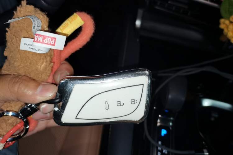 Used Lexus RX 2025 300 Four-Wheel Drive Junxiang Edition Vehicle Key
