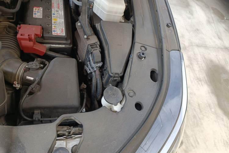 Used Lexus RX 2025 300 Four-Wheel Drive Junxiang Edition Engine Bay Left