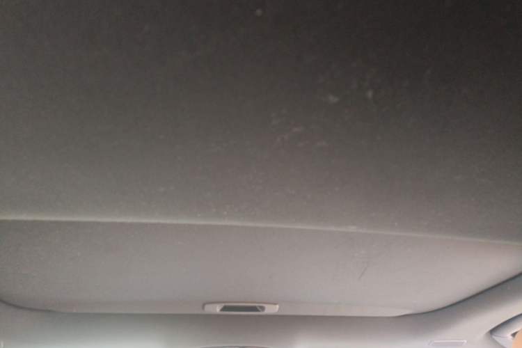 Used Lexus RX 2025 300 Four-Wheel Drive Junxiang Edition Headliner
