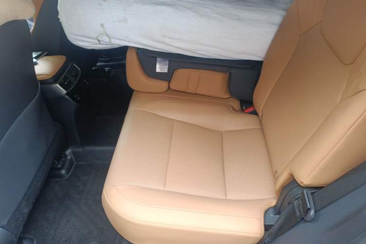 Used Lexus RX 2025 300 Four-Wheel Drive Junxiang Edition Left Rear Seat