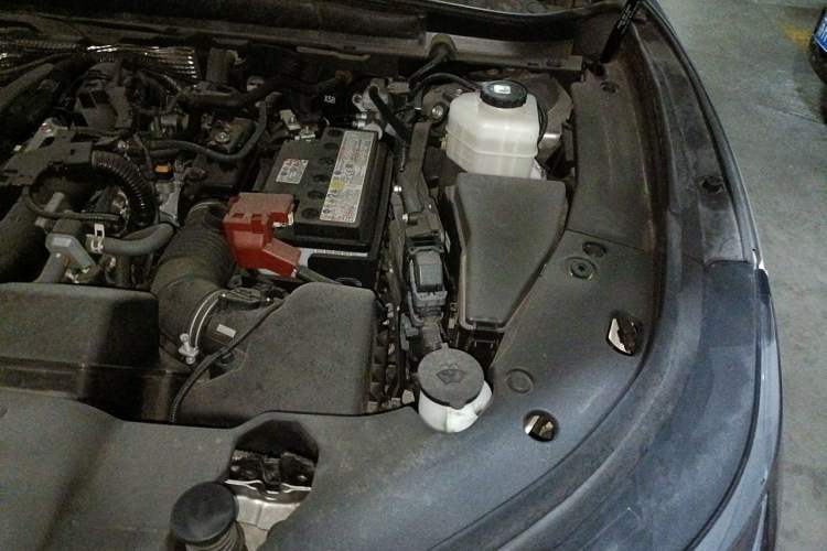 Used Lexus RX 2025 300 Four-Wheel Drive Junxiang Edition Engine Bay Left
