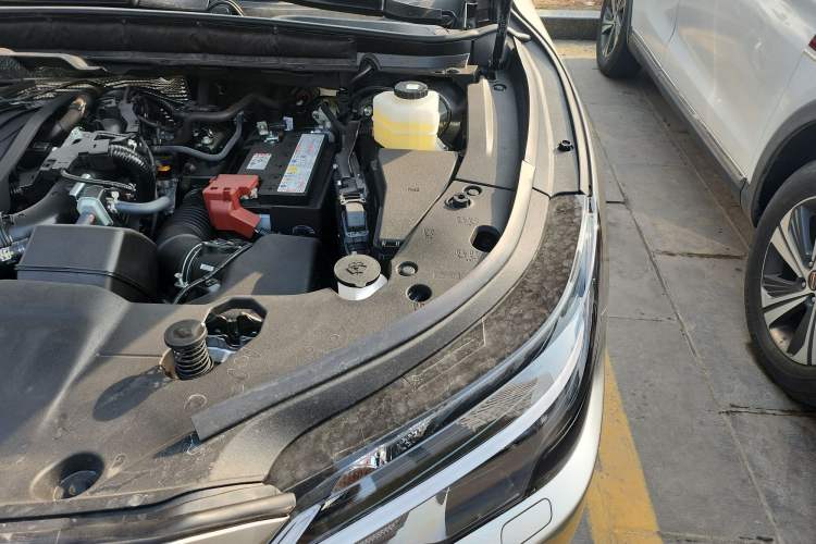 Used Lexus RX 2025 300 Four-Wheel Drive Junxiang Edition Engine Bay Left