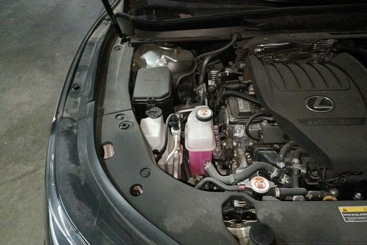 Used Lexus RX 2025 300 Four-Wheel Drive Junxiang Edition Engine Bay Right