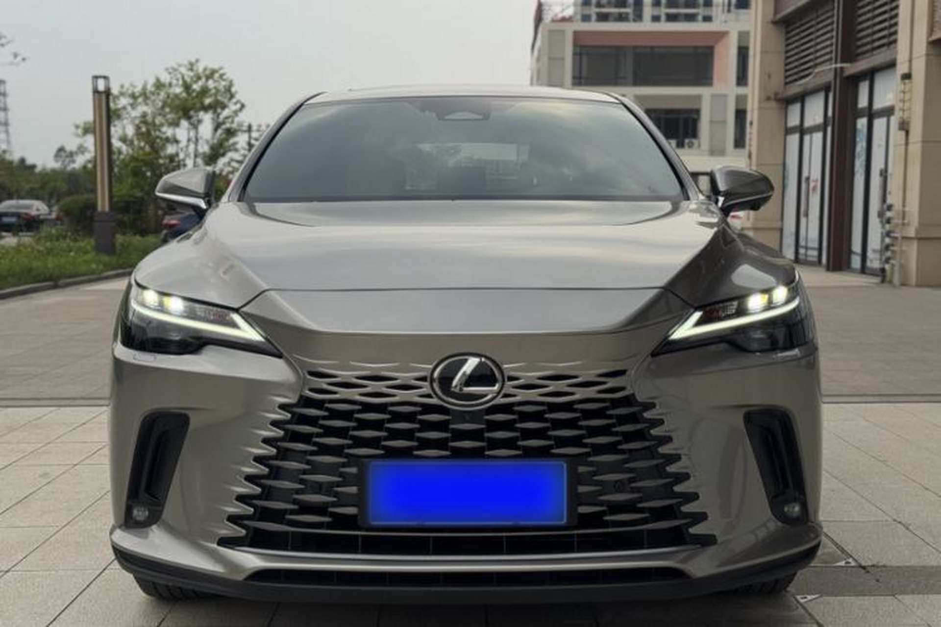 Used Lexus RX 2025 300 Four-Wheel Drive Junxiang Edition Exterior 1