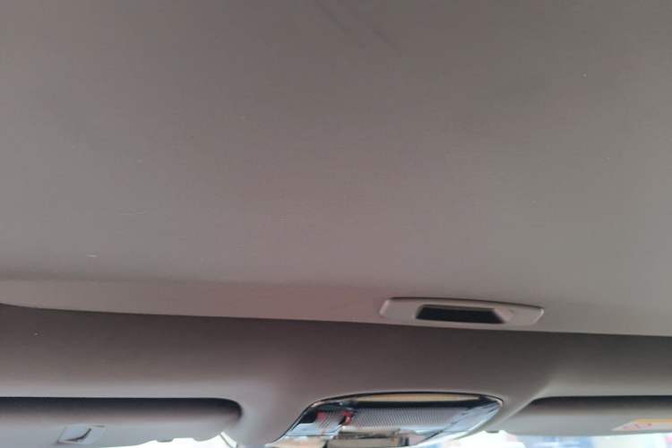 Used Lexus RX 2025 300 Four-Wheel Drive Junxiang Edition Headliner