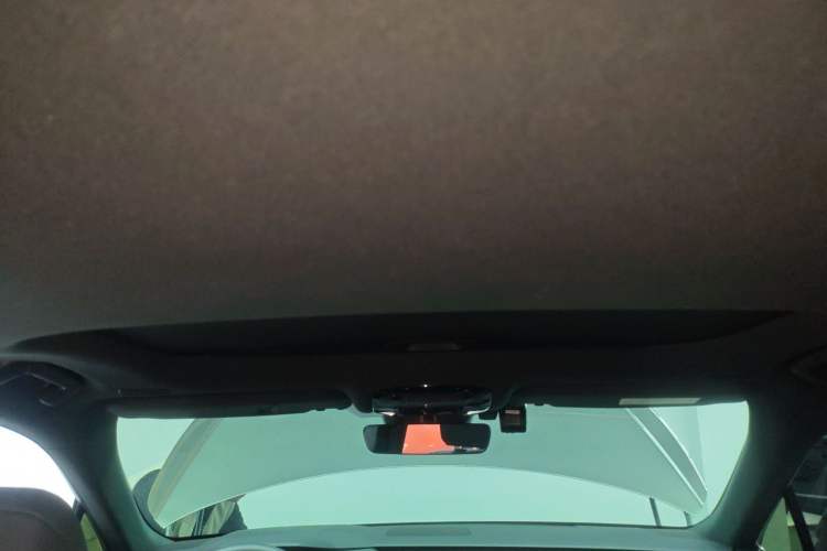 Used Lexus RX 2025 300 Four-Wheel Drive Junxiang Edition Headliner