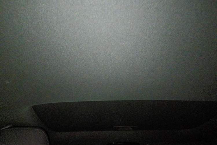 Used Lexus RX 2025 300 Four-Wheel Drive Junxiang Edition Headliner