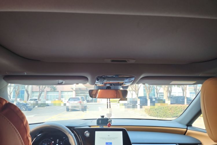 Used Lexus RX 2025 300 Four-Wheel Drive Junxiang Edition Headliner