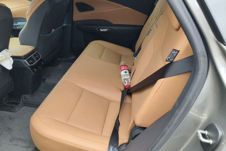 Used Lexus RX 2025 300 Four-Wheel Drive Junxiang Edition Left Rear Seat